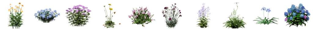 Más de 220 nuevos modelos de plantas animadas en la D5 Biblioteca de Assets