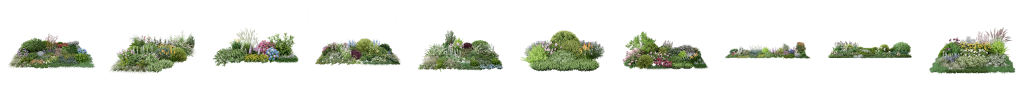 Más de 220 nuevos modelos de plantas animadas en la D5 Biblioteca de Assets