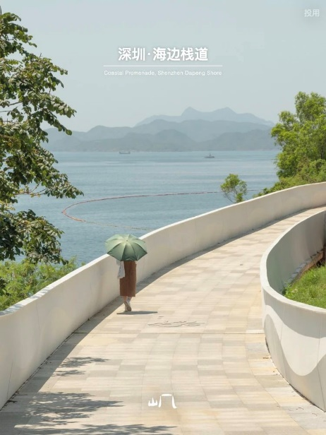 Mist Architects Case Study: D5 Render Success