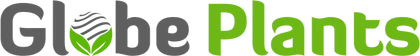 Partners | D5