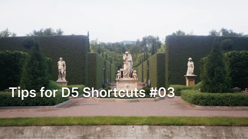Tips for D5 Shortcuts #03