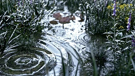 Landscape rendering solution