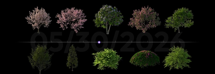Seasonal Vegetation