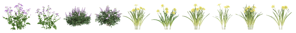 New Plants Alert! 260+ Animated Plants in D5 Asset Library!