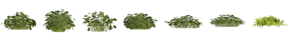 New Plants Alert! 260+ Animated Plants in D5 Asset Library!