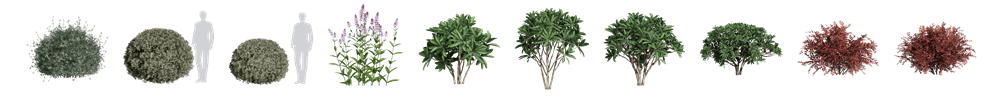 New Plants Alert! 260+ Animated Plants in D5 Asset Library!