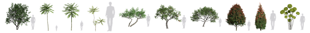 New Plants Alert! 260+ Animated Plants in D5 Asset Library!
