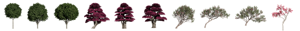 New Plants Alert! 260+ Animated Plants in D5 Asset Library!