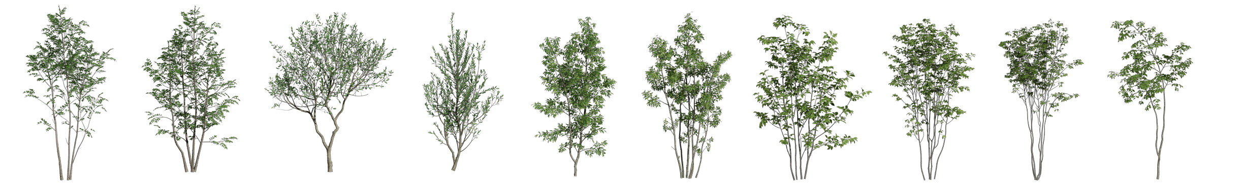 190+New Models for Japanese Designers: Lighting, Ornaments, Furniture, Greenery and More