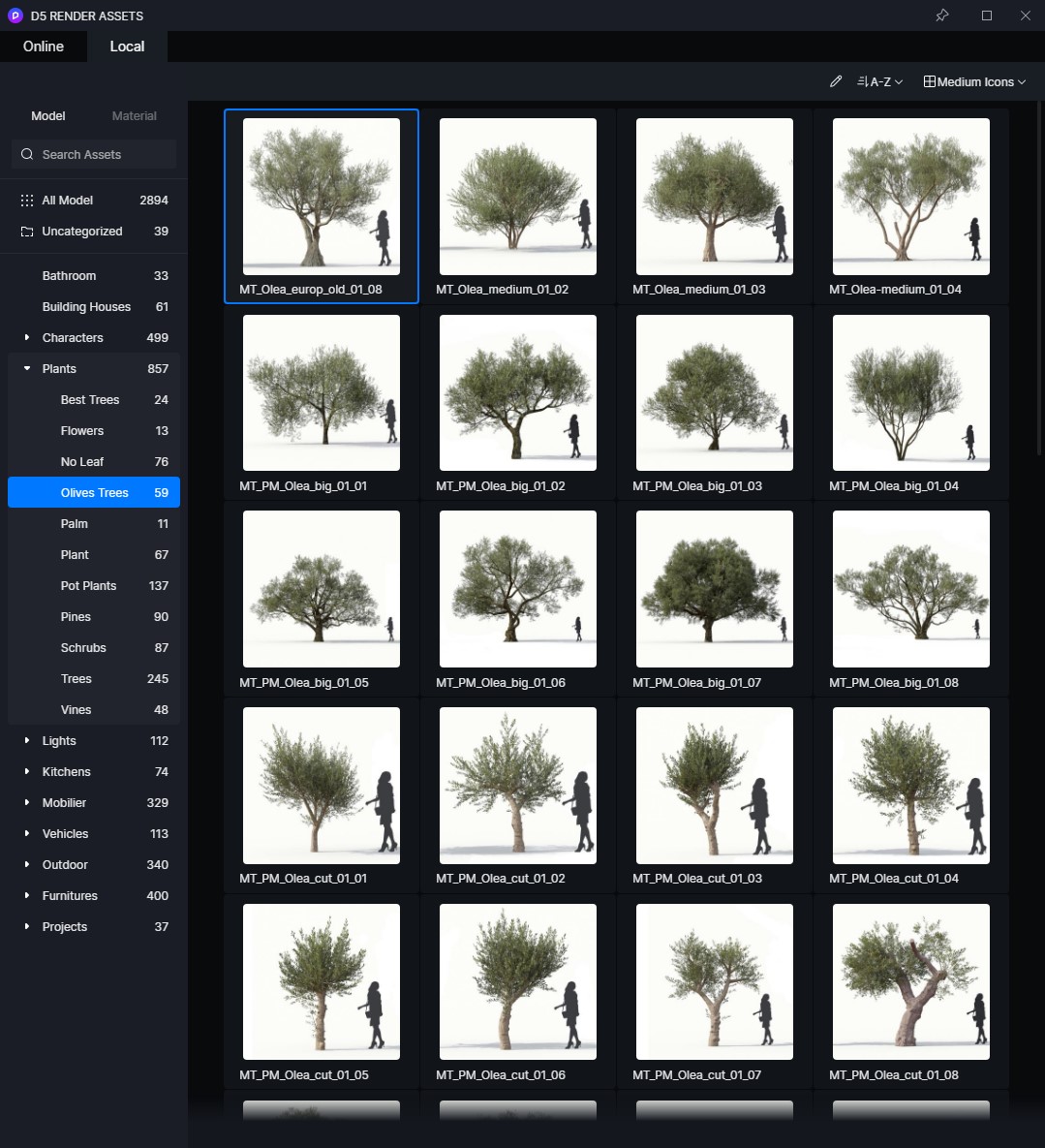 How to Use Local Library for Ordered Resource Management