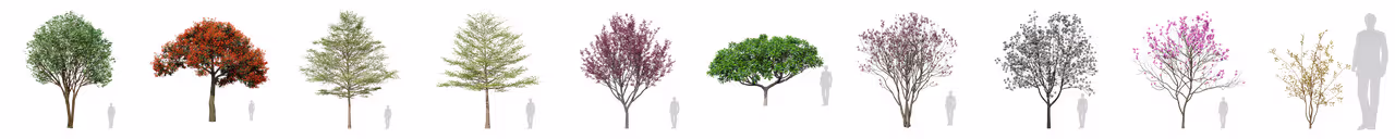 画期的な3Dアップデート：D5 Render 2.4 リリースノート