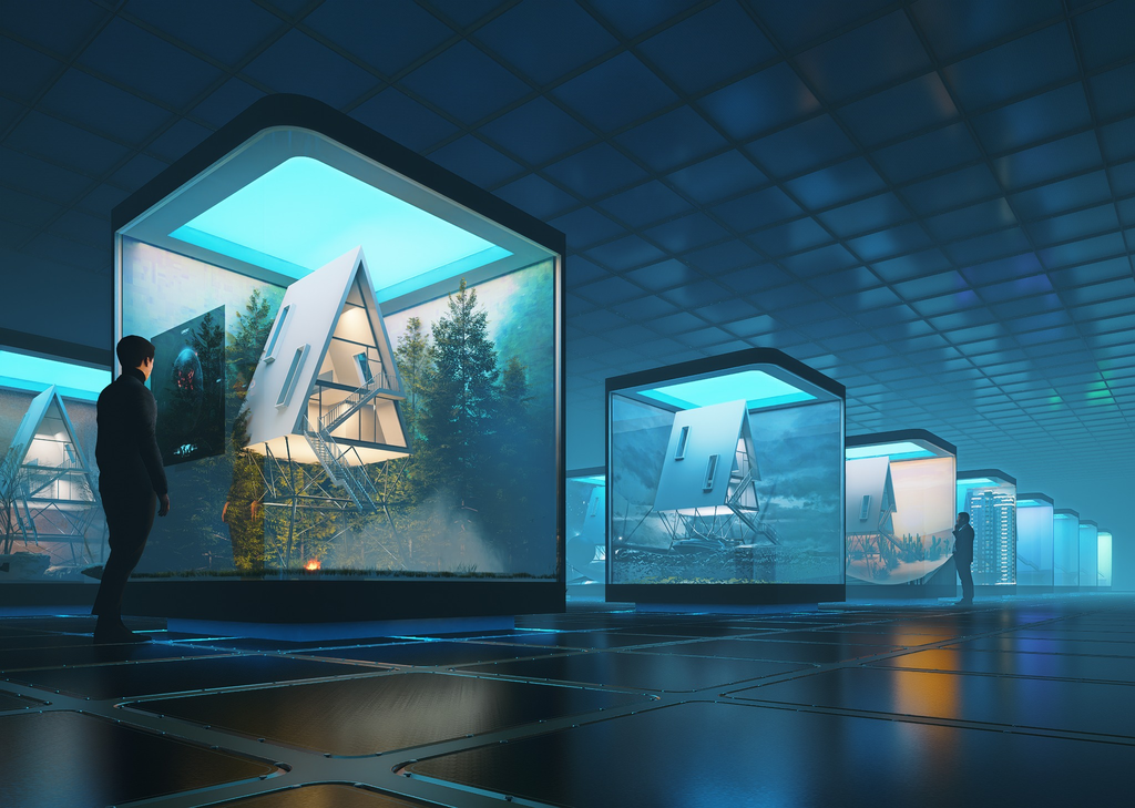 d5 winners announced
