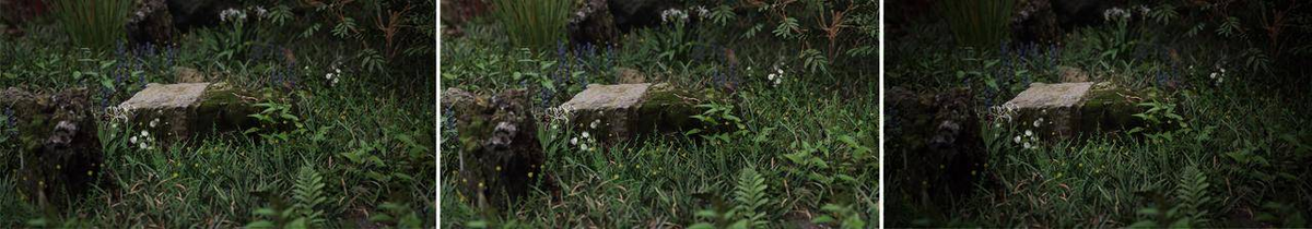 vignette render